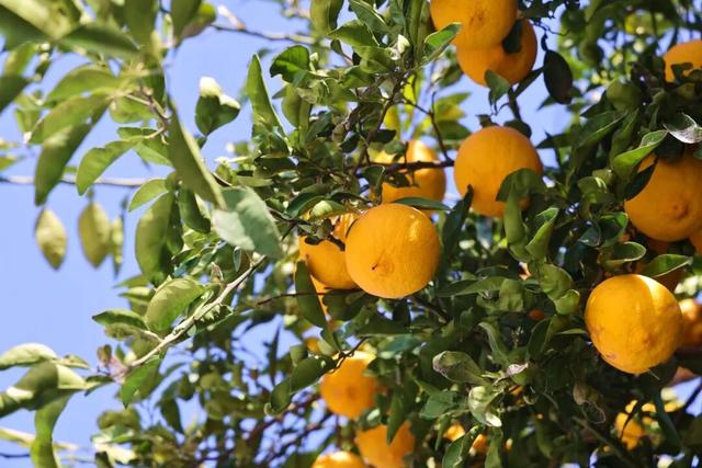 丹徒这几条路，真不想让太多人知道！