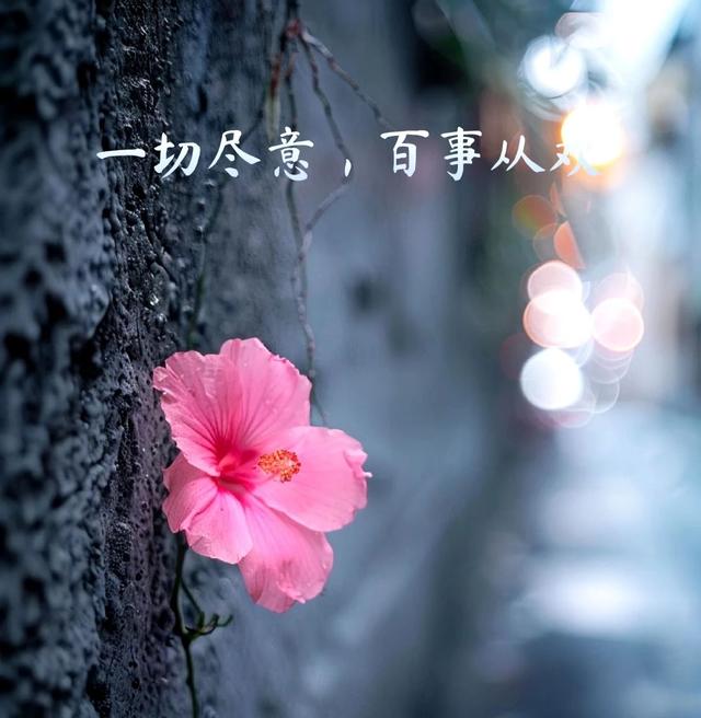 感恩父母，岁月情深