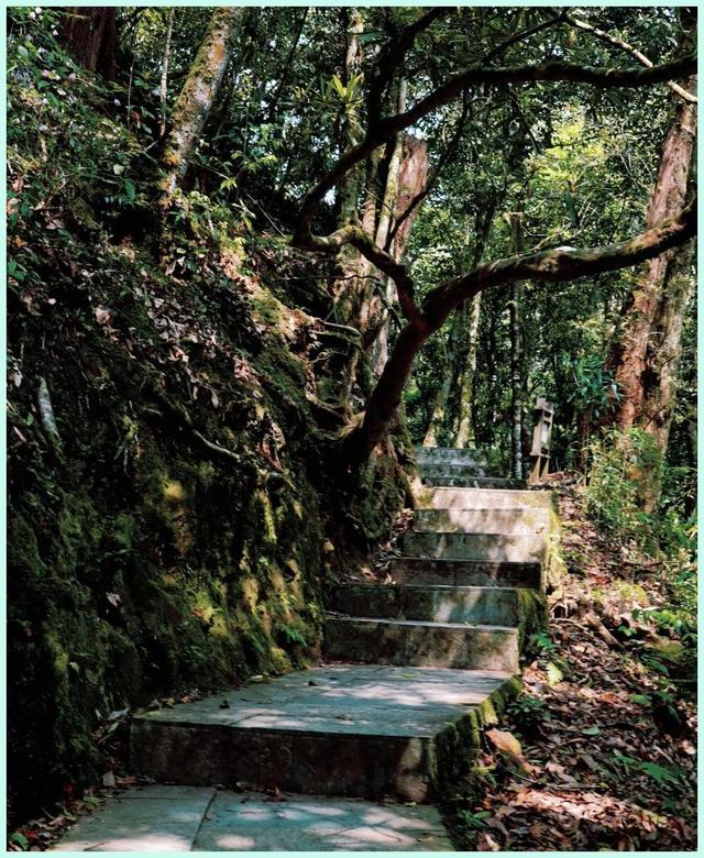 逃离人潮踏青 偶遇绝美秘境 这份五一屏边小众游攻略让你惊艳朋友圈