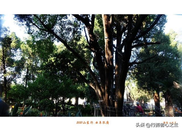 山东行游影记（224）—曲阜孔府（五）