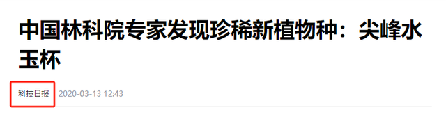 目前仅见于海南！2017年，专家发现6棵摘走3棵