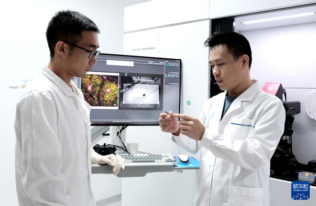 开启脑科学“彩色视界”：我国成功研制多色微型化双光子显微镜