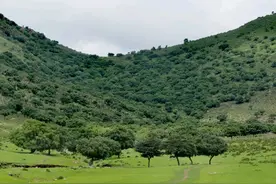 《鸡鸣》——《诗经》札记九十五图片