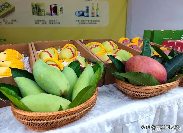 华坪县第十六届芒果文化季启幕 多元活动品芒乡魅力