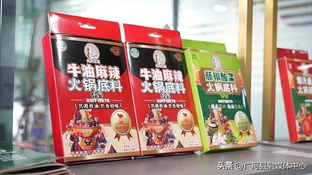 【上半年观察】广河电商1-7月销售额达2.7亿 全年有望突破5亿