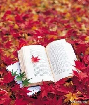 王小波的《黄金时代》讲了一个什么样的故事？