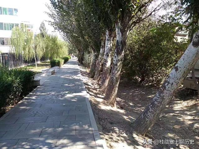 威观宁夏|宁夏人文：“桥之市”之消失的银川第一景观桥