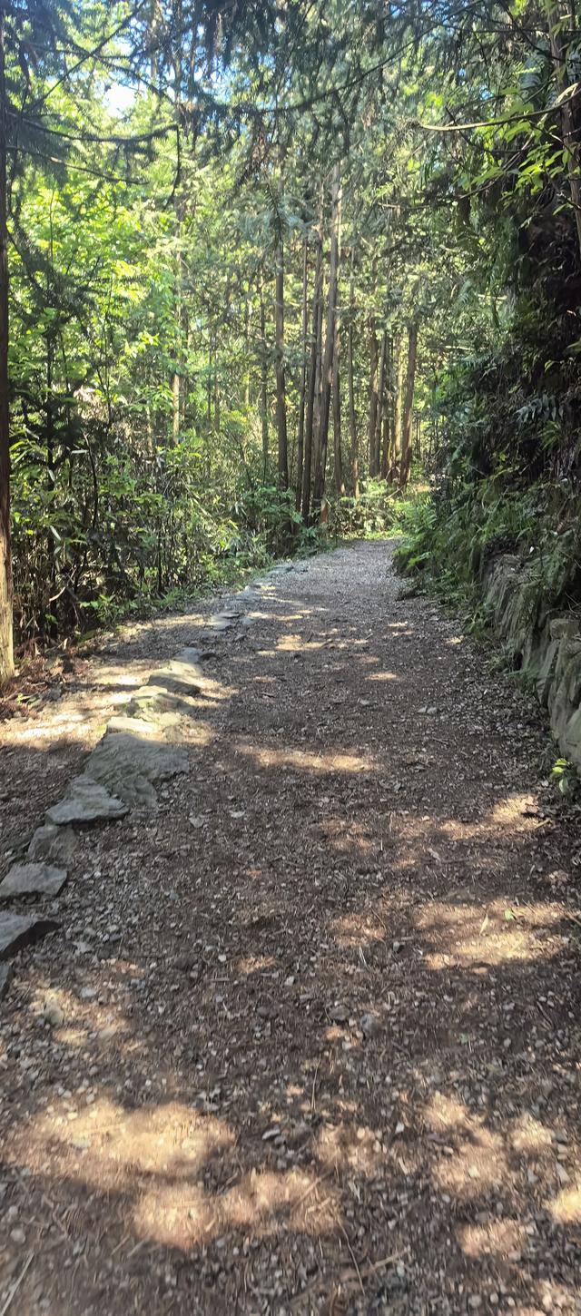 绍兴梅坞古道一条 对新手小白特别友好的线路