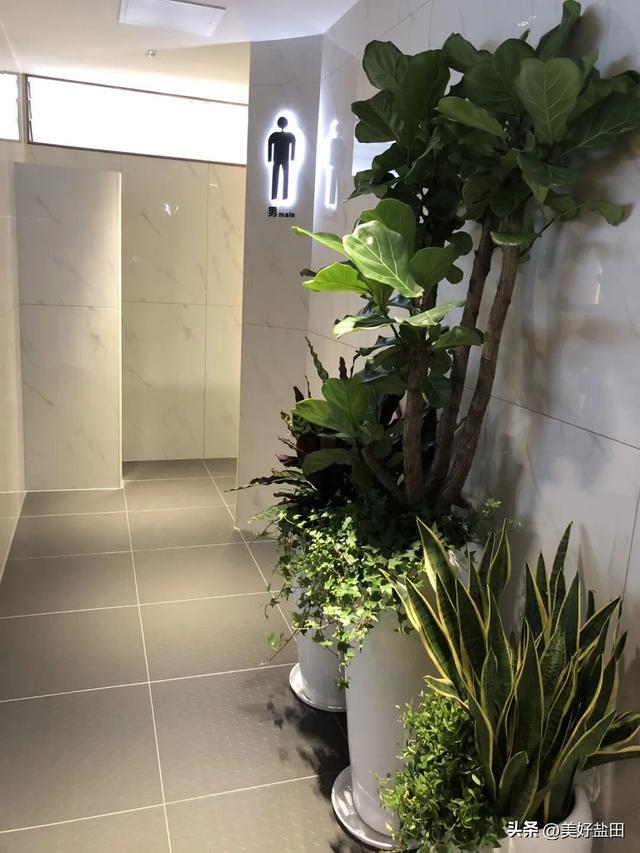 听说有人为了盐田的公厕，专门安排了一场旅行？