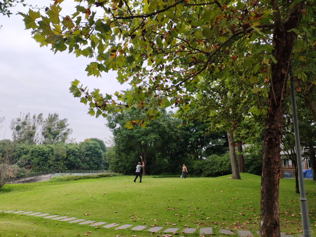 成都这个公园胜过绕城绿道，含氧量达100%，地铁3号线直达！