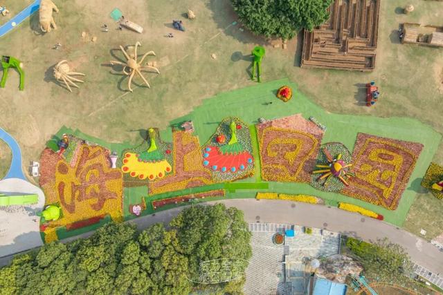 活力宝安城区指南｜山海蓝绿瞬间：山水连城，绿动宝安！