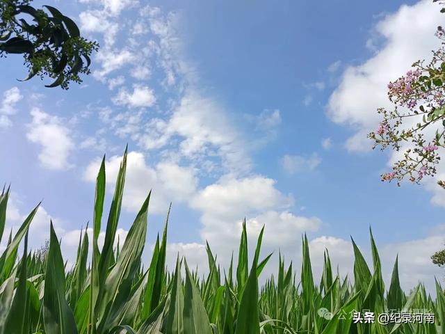 信阳：大别山干部成长的摇篮与自然人文的瑰宝