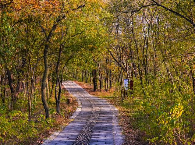 免费打卡明光女山,人少景美超级治愈~