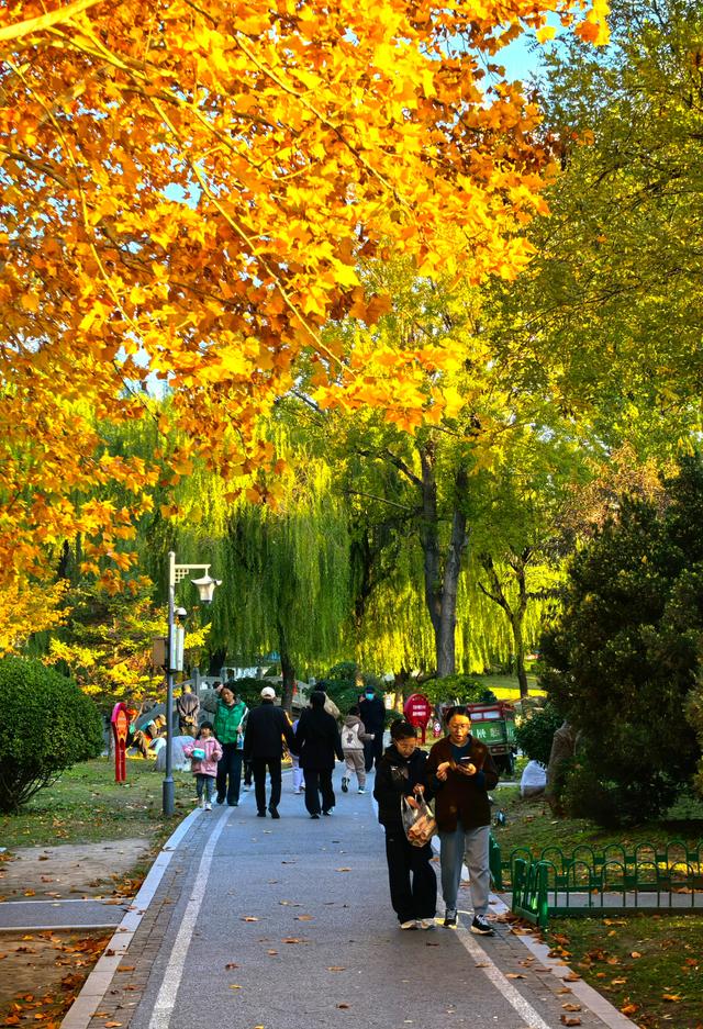 半烟火半诗意：潍坊园林的美，从不被定义