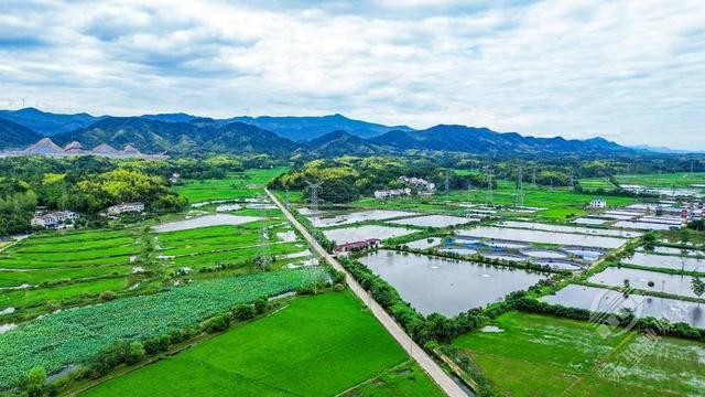 湖北赤壁：蓝天白云映绿野 碧水金稻漫山岗