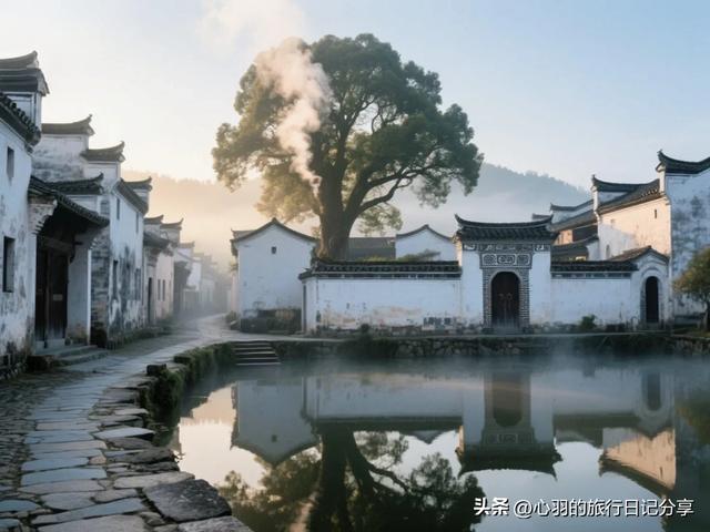 心羽的旅行日记📆——婺源篁岭