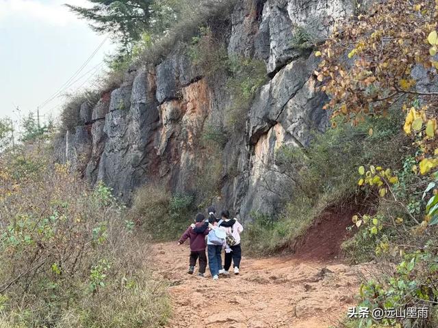 阳光明媚的冬日里，我们爬山去，逛陡坡村、看冬樱花，做晴朗的事