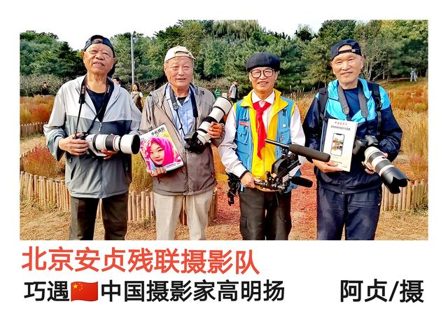 奥森公园粉黛乱子草，给你留下粉红的回忆！