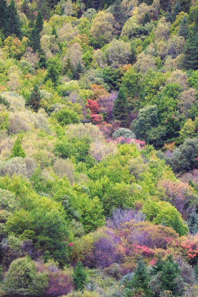 她们说九寨沟烤肠好吃我就来了！