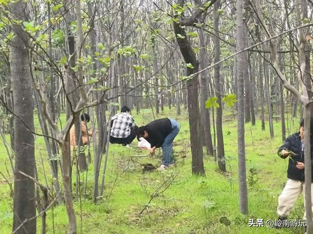 乘上地铁10号线到灞渭桥湿地公园，大片粉黛乱子草等着你打卡！