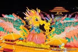 武汉春节最大灯会，火到全国！图片