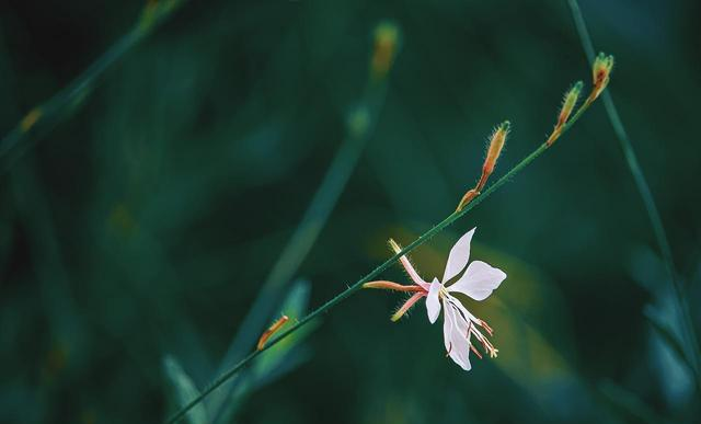 为什么你身边围绕的都是小人恶人，原因：你活得太正直！太正能量