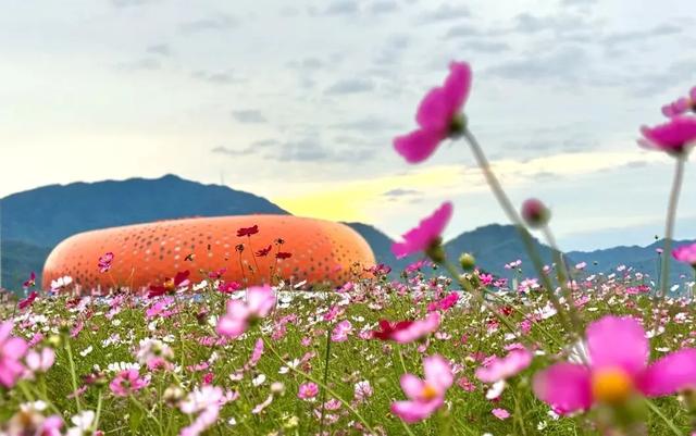 秋日限定!速来围观肇庆的绝美风光~