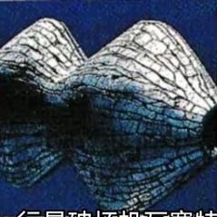 第二次出现忍者元素的战队（忍风战队破里剑者）全怪兽大合集