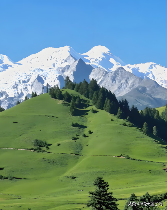 这是—8月最想去的格聂神山：花海漫野+日照金山，错过再等一年！