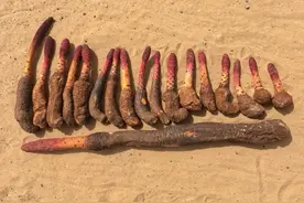 男人必学的3款古法泡酒秘方！老辈传下的黄金比例，收藏备用图片