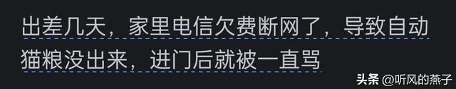 你是否有过把宠物逼的差点说话的时候？网友们的分享，惊呆了