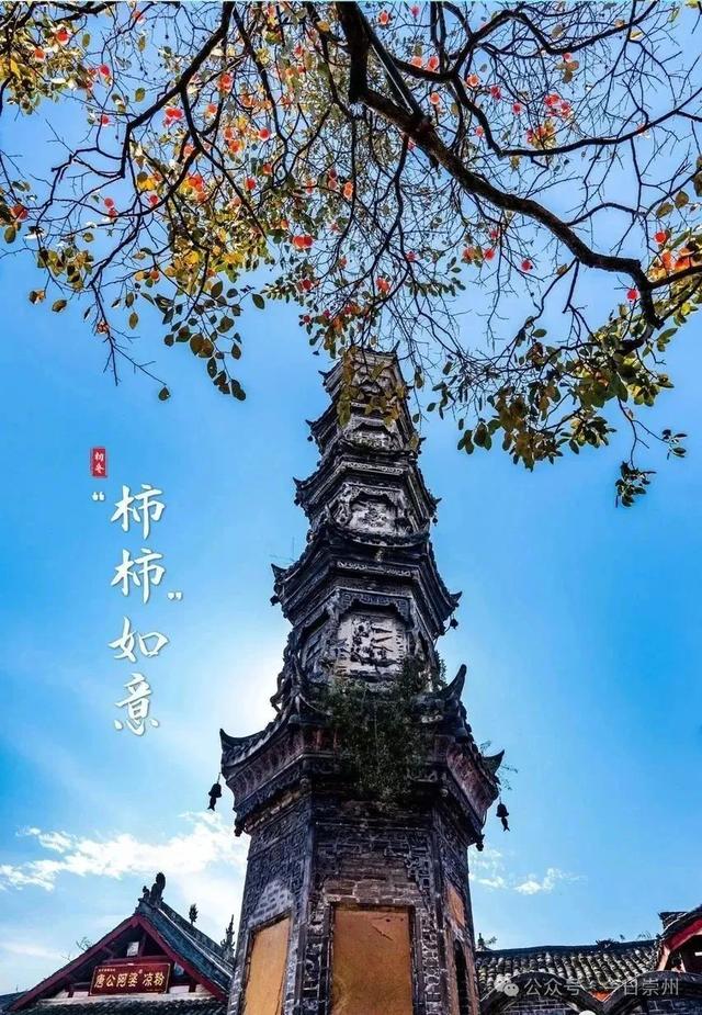 焕新千年古镇！打造候鸟青年社交体验区、特色产业示范区，成都传媒集团为崇州街子古镇注入新动能