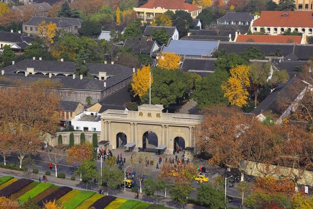 石象路银杏黄了！秋日南京必走的几条经典路线