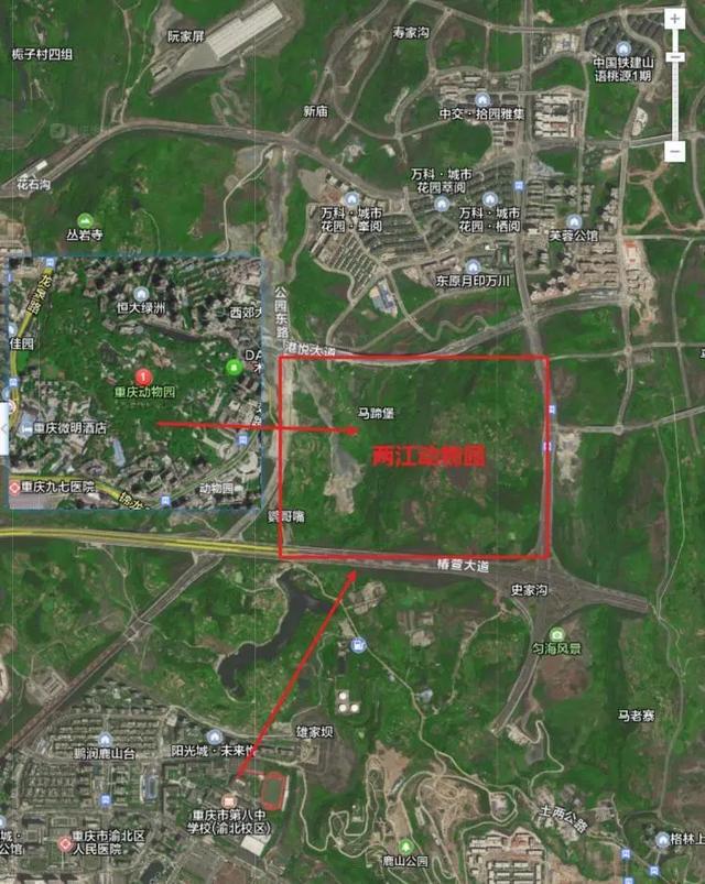 又一个新地标?网友热议重庆新动物园选址,这几个片区呼声高