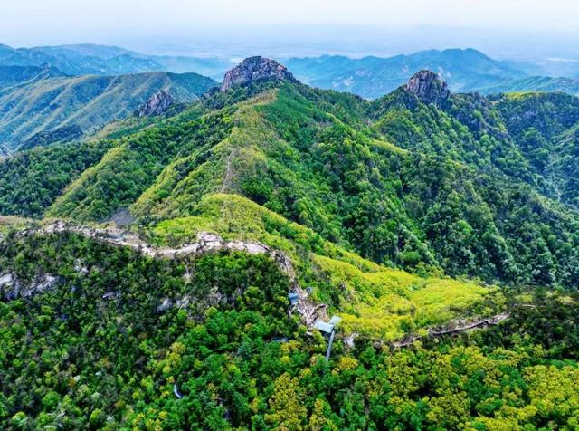 跟着色彩游临沂 | 红叶漫山・秋韵沉醉之旅 美到尖叫
