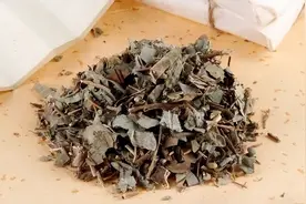 倪海厦：胆汁反流性胃炎，反酸，立秋后要喝一次，堪称中医疫苗图片