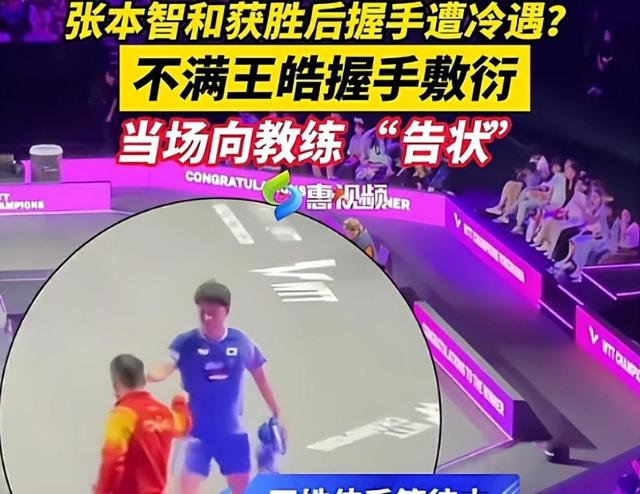 张本智和夺冠仅1天，国际乒联出手，处罚当值裁判？日本乒协表态