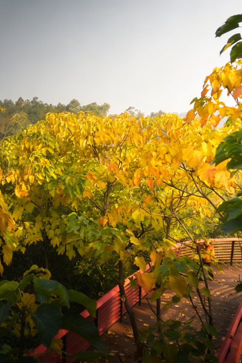 爱你老己，周末仁寿见！