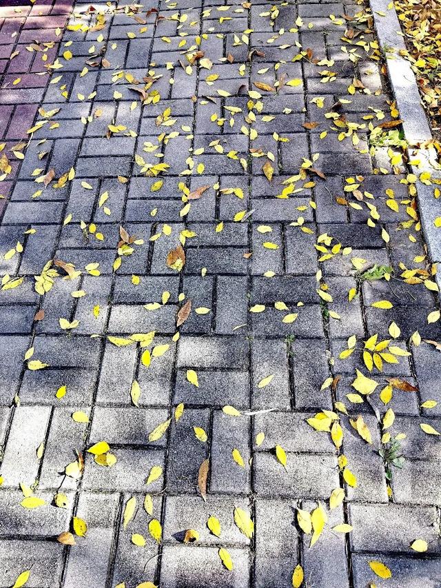 人情往来，有来有往，情意绵长