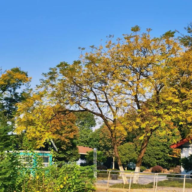 逛起来！8小时10个公园！