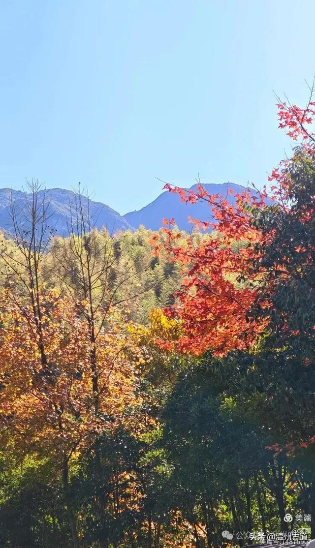 踏秋胜地,天脊龙门!浙江这个4A级景区已美成童话,等你来打卡