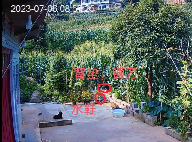 贵州49岁女子务农遭杀害被抛尸于石缝，被害人儿子：嫌犯装作无事发生来我家吃饭！二审判死缓，家属申请再审