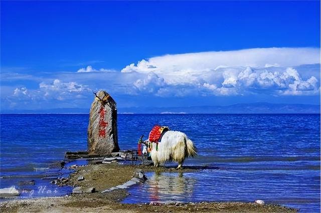沉浸西北享纯玩