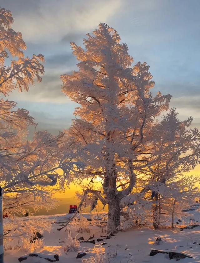 《疯狂动物城》之冰川镇竟撞脸呼伦湖！