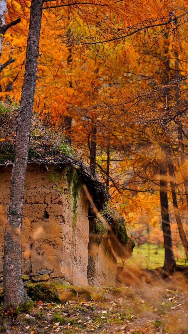 让我再看你一眼🧡