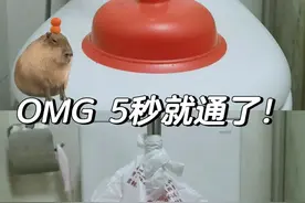马桶堵塞刺客，这些年被坑的一把辛酸泪图片