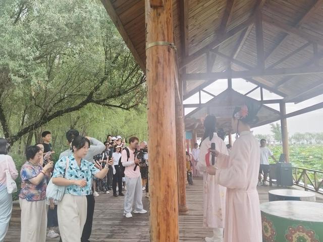 千亩荷塘 万人许愿‖2025年第九届鸣翠湖荷花节精彩启幕