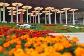 85.2万人次，800.1亿美元！上海这一盛会闭幕图片