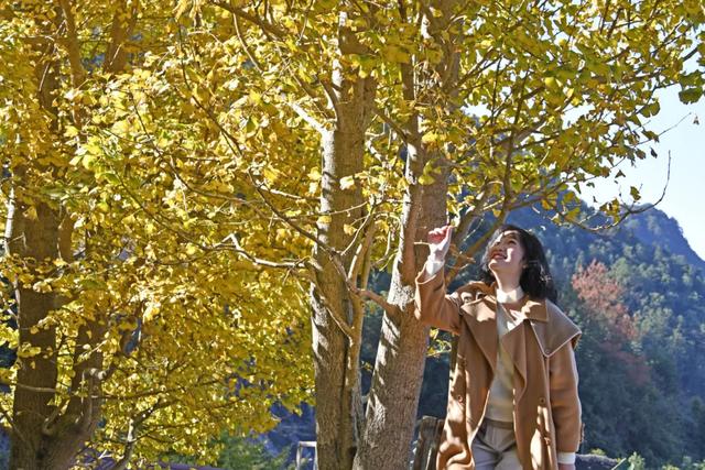 怀集的四季！带你回顾，带你深入