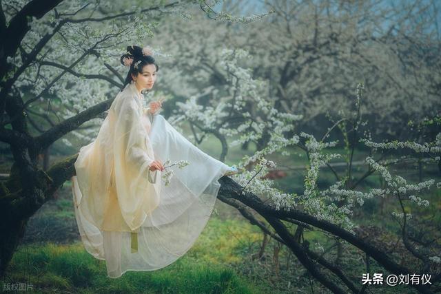 在镇江南山我见到一位女子，衣裙月帔仙姿玉貌，林下风致惊为天人